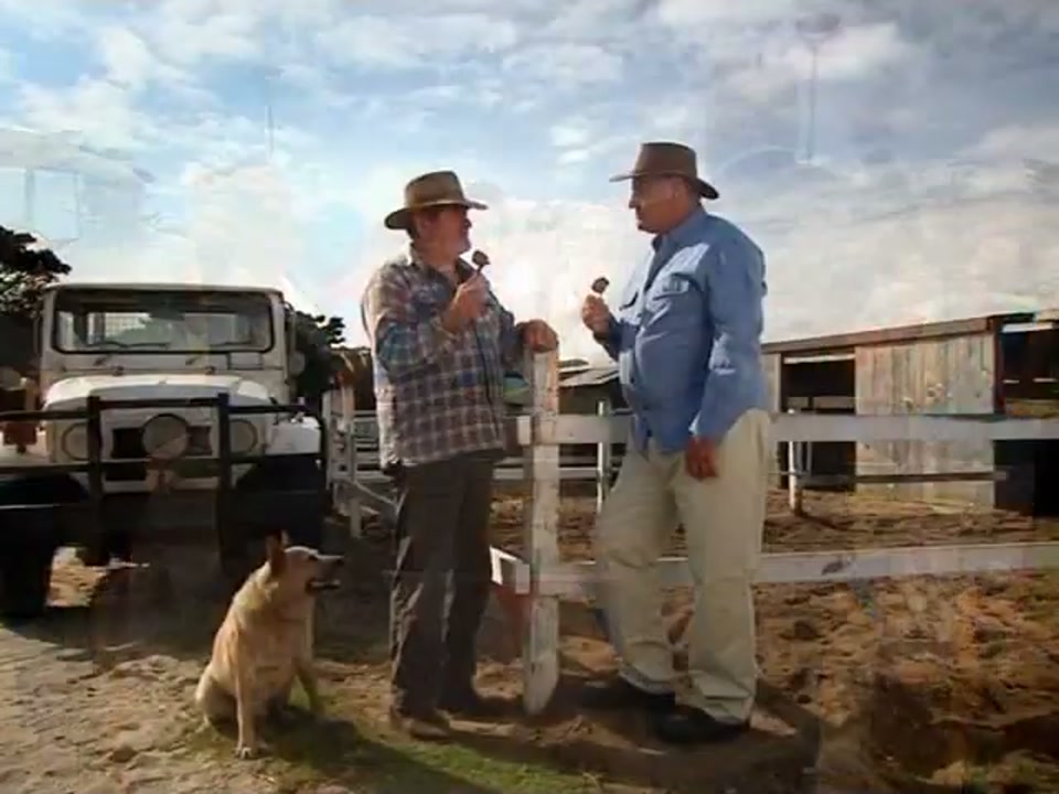 Address to the Nation (Australia Day Party) (2007), scene 2 at 00:23: A montage begins. Kekovich, looking pensive, walks along a beach eating a lamb cutlet like an ice cream. He is then shown at a public event, cutting a "ribbon" made of sausages to open a public barbecue.